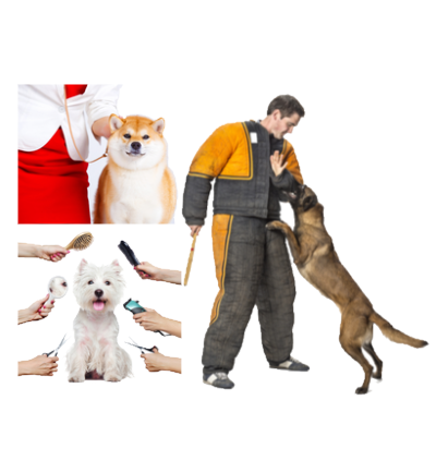Grooming, Training and Handling