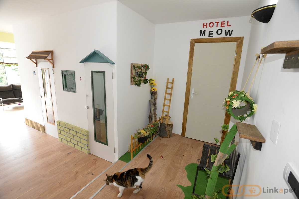 Hotel za mačke Cat City